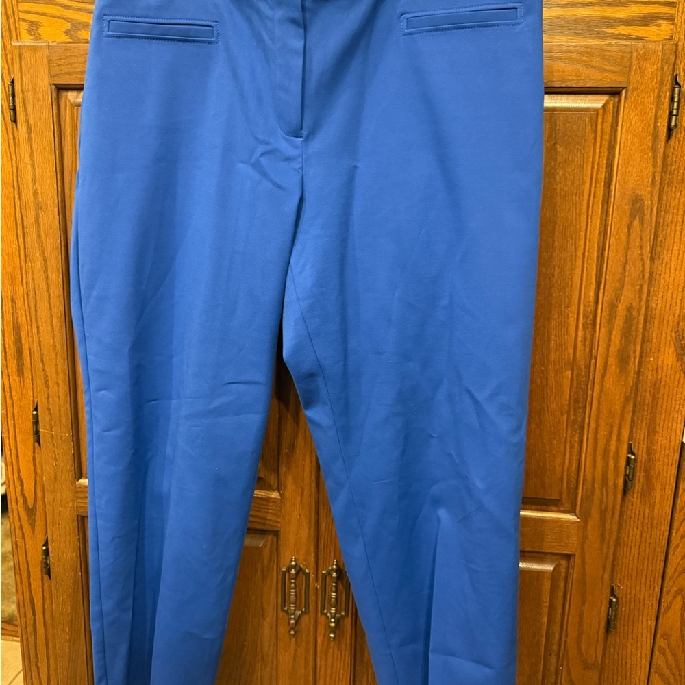 Talbots Pants Womens Hampshire Ankle Curvy Straight Leg Size 18w Blue